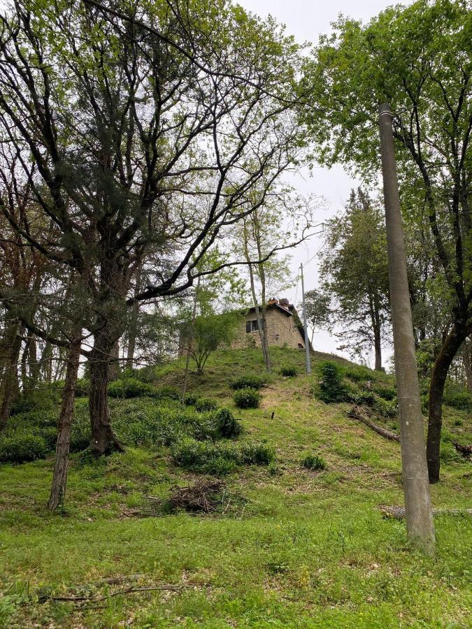 Naturemugello Oasi Naturista Dicomano Eksteriør billede