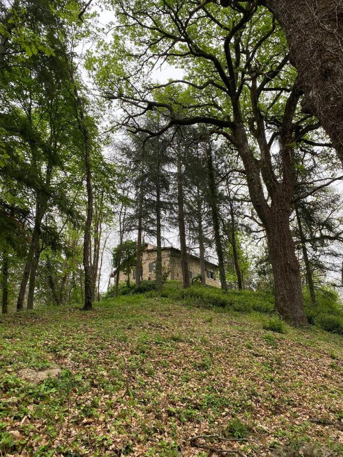 Naturemugello Oasi Naturista Dicomano Eksteriør billede